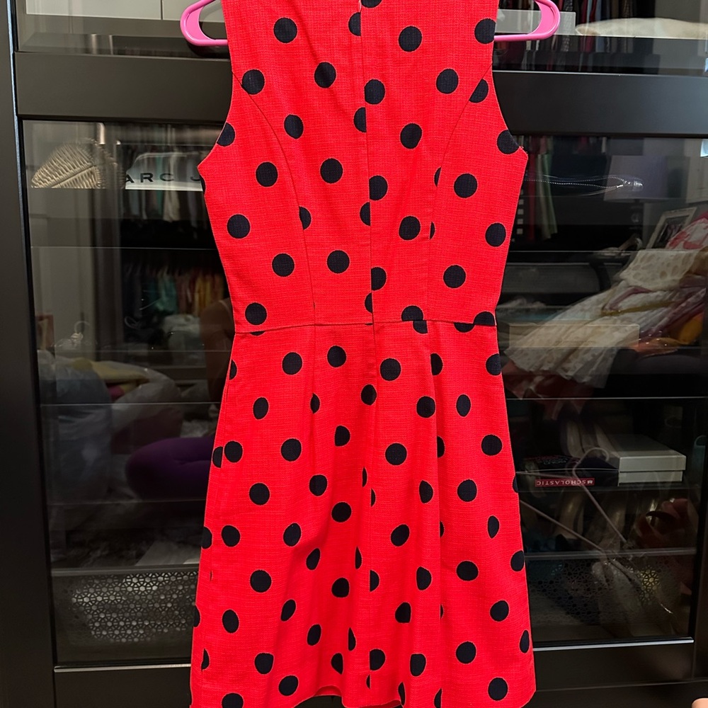 Red and Blue Polka Dot Dress
